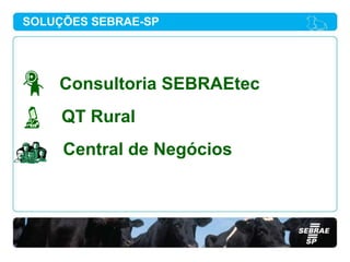 SOLUÇÕES SEBRAE-SP




    Consultoria SEBRAEtec
     QT Rural
     Central de Negócios
 