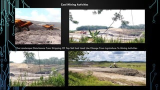 Agrosilvopastoral system for coal mine reclamation | PDF