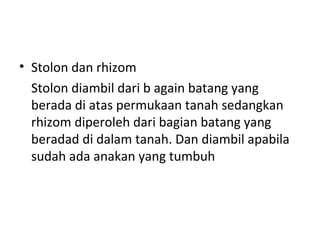 • Stolon dan rhizom
Stolon diambil dari b again batang yang
berada di atas permukaan tanah sedangkan
rhizom diperoleh dari bagian batang yang
beradad di dalam tanah. Dan diambil apabila
sudah ada anakan yang tumbuh

 