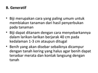B. Generatif
• Biji merupakan cara yang paling umum untuk
membiakan tanaman dari hasil penyerbukan
pada tanaman
• Biji dapat ditanam dengan cara menyebarkannya
dalam larikan-larikan berjarak 40 cm pada
kedalaman 1-3 cm ataupun ditugal
• Benih yang akan disebar sebaiknya dicampur
dengan tanah kering yang halus agar benih dapat
tersebar merata dan kontak langsung dengan
tanah

 