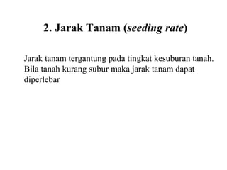 2. Jarak Tanam (seeding rate)
Jarak tanam tergantung pada tingkat kesuburan tanah.
Bila tanah kurang subur maka jarak tanam dapat
diperlebar

 