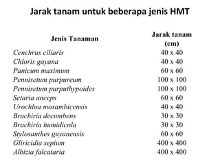 Jarak tanam untuk beberapa jenis HMT
Jenis Tanaman
Cenchrus ciliaris
Chloris gayana
Panicum maximum
Pennisetum purpureum
Pennisetum purputhypoides
Setaria anceps
Urochloa mosambicensis
Brachiria decumbens
Brachiria humidicola
Stylosanthes guyanensis
Gliricidia sepium
Albizia falcataria

Jarak tanam
(cm)
40 x 40
40 x 40
60 x 60
100 x 100
100 x 100
60 x 60
40 x 40
30 x 30
30 x 30
60 x 60
400 x 400
400 x 400

 