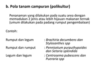 b. Pola tanam campuran (polikultur)
Penanaman yang dilakukan pada suatu area dengan
memadukan 2 jenis atau lebih hijauan makanan ternak
(umum dilakukan pada padang rumput pengembalaan)
Contoh:
Rumput dan legum
Rumput dan rumput
Legum dan legum

: Brachiria decumbens dan
Stylosanthes spp
: Pennisetum purputhypoides
dan Setaria splendida
: Centrosema pubescens dan
Pueraria spp

 