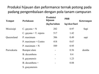 Produksi hijauan dan peformance ternak potong pada
padang pengembalaan dengan pola tanam campuran

Mississipi

Perlakuan

PBB

(kg/ha/tahun

Tempat

Produksi
hijauan

kg/ekor/hari

Keterangan
0.97

517

1.42

P. maximum

306

0.49

P. maximum + Centro

418

0.67

P. maximum + N
Purwakarta

282

C. gayana + T. repens
Queensland

C. gayana + N

589

0.95

Rumput alam

-

0.56

B. decumbens

-

0.4

S. guyanensis

-

1.23

B. decumbens +

-

0.88

S. guayanensis

Sapi
sapi

domba

 
