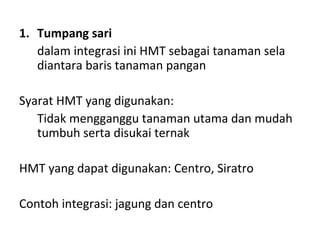 1. Tumpang sari
dalam integrasi ini HMT sebagai tanaman sela
diantara baris tanaman pangan
Syarat HMT yang digunakan:
Tidak mengganggu tanaman utama dan mudah
tumbuh serta disukai ternak
HMT yang dapat digunakan: Centro, Siratro
Contoh integrasi: jagung dan centro

 