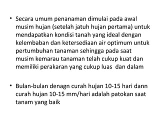 • Secara umum penanaman dimulai pada awal
musim hujan (setelah jatuh hujan pertama) untuk
mendapatkan kondisi tanah yang ideal dengan
kelembaban dan ketersediaan air optimum untuk
pertumbuhan tanaman sehingga pada saat
musim kemarau tanaman telah cukup kuat dan
memiliki perakaran yang cukup luas dan dalam
• Bulan-bulan denagn curah hujan 10-15 hari dann
curah hujan 10-15 mm/hari adalah patokan saat
tanam yang baik

 