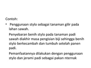 Contoh:
• Penggunaan stylo sebagai tanaman gilir pada
lahan sawah.
Penyebaran benih stylo pada tanaman padi
sawah diakhir masa pengisian biji sehingga benih
stylo berkecambah dan tumbuh setelah panen
padi.
Pemanfaatannya dilakukan dengan penggunaan
stylo dan jerami padi sebagai pakan nternak

 