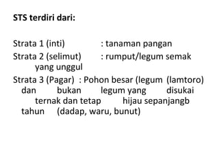 STS terdiri dari:
Strata 1 (inti)
: tanaman pangan
Strata 2 (selimut)
: rumput/legum semak
yang unggul
Strata 3 (Pagar) : Pohon besar (legum (lamtoro)
dan
bukan
legum yang
disukai
ternak dan tetap
hijau sepanjangb
tahun (dadap, waru, bunut)

 