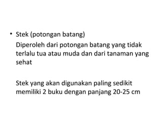 • Stek (potongan batang)
Diperoleh dari potongan batang yang tidak
terlalu tua atau muda dan dari tanaman yang
sehat
Stek yang akan digunakan paling sedikit
memiliki 2 buku dengan panjang 20-25 cm

 