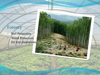 Forestry
• Soil Protection
• Wood Protection
for tree plantations
 