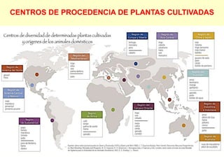CENTROS DE PROCEDENCIA DE PLANTAS CULTIVADAS
 