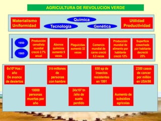AGRICULTURA DE REVOLUCION VERDE
Materialismo
Uniformidad
Utilidad
Productividad
Química
Tecnología Genética
Producción
cerealista
mundial
creció 2.7%
anual
Abonos
químicos
aumentó 9
veces
Plaguicidas
aumentó 32
veces
Comercio
mundial de
carne creció
5.5 veces
Producción
mundial de
alimento por
habitante
creció 12%
Superficie
cosechada
por habitante
decreció
25%
1950
1985
6x104 Has /
año
De avance
de desiertos
10000
personas
muertas por
año
310 millones
de
personas
con hambre
24x103 tn
/año de
suelo
perdido
650 sp de
insectos
resistentes
en 1991
Aumento de
subsidios
agrícolas
2300 casos
de cancer
por millón
en USA/98
 