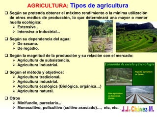 AGRICULTURA: Tipos de agricultura
 Según se pretenda obtener el máximo rendimiento o la mínima utilización
de otros medios de producción, lo que determinará una mayor o menor
huella ecológica:
 Extensiva..
 Intensiva o industrial...
 Según su dependencia del agua:
 De secano.
 De regadío.
 Según la magnitud de la producción y su relación con el mercado:
 Agricultura de subsistencia.
 Agricultura industrial.
 Según el método y objetivos:
 Agricultura tradicional.
 Agricultura industrial.
 Agricultura ecológica (Biológica, orgánica…)
 Agricultura natural.
 Otros
 Minifundio, parcelaria...
 Monocultivo, policultivo (cultivo asociado)…, etc, etc.
 