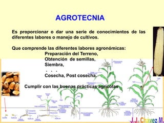 AGROTECNIA
Es proporcionar o dar una serie de conocimientos de las
diferentes labores o manejo de cultivos.
Que comprende las diferentes labores agronómicas:
Preparación del Terreno,
Obtención de semillas,
Siembra,
. . .
Cosecha, Post cosecha.
Cumplir con las buenas prácticas agrícolas
 