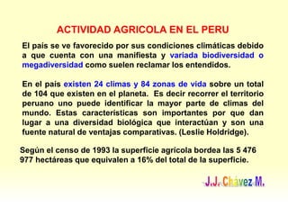 El país se ve favorecido por sus condiciones climáticas debido
a que cuenta con una manifiesta y variada biodiversidad o
megadiversidad como suelen reclamar los entendidos.
En el país existen 24 climas y 84 zonas de vida sobre un total
de 104 que existen en el planeta. Es decir recorrer el territorio
peruano uno puede identificar la mayor parte de climas del
mundo. Estas características son importantes por que dan
lugar a una diversidad biológica que interactúan y son una
fuente natural de ventajas comparativas. (Leslie Holdridge).
ACTIVIDAD AGRICOLA EN EL PERU
Según el censo de 1993 la superficie agrícola bordea las 5 476
977 hectáreas que equivalen a 16% del total de la superficie.
 