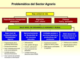 Problemática del Sector Agrario
Bajo nivel de
Competitividad y
Rentabilidad
Agraria
Aprovechamiento
no Sostenible de
los recursos
naturales
Débil desarrollo
institucional en el
Sector Agrario
BAJO NIVEL DE DESARROLLO AGRARIO Y RURAL
Dependencia e inseguridad
alimentaria
Migración
rural urbana
Pobreza
rural y exclusión
Baja calidad de vida
Limitado acceso a
servicios básicos y
productivos del
productor
• Fragmentación de la
propiedad (Minifundio)
• Escasa Asociatividad
• Insuf. Infraestructura rural
y de comercialización
• Limitado acceso a
Servicios financieros
• Insuf. servicio de sanidad,
innovación e información
• Deforestación
• Inad. gestión del agua
• Erosión, salinización
• Insuf. prevención de
desastres
• Limitado avance en
derechos sobre RRNN
• Insuficiente inversión
pública en sierra y selva
• Débil apoyo a actividades
no agrarias
• Políticas poco estables
• Desarticulación intra e
inter institucional
 