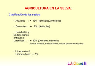 AGRICULTURA EN LA SELVA:
Clasificación de los suelos:
• Aluviales : +- 13% (Entisoles, Anfisoles)
• Coluviales : +- 2% (Anfisoles)
• Residuales y
Sedimentarios
antiguos ó
Lateríticos : +- 80% (Oxisoles, ultisoles)
Suelos lavados, meteorizados, ácidos (óxidos de Al y Fe)
• Intrazonales ó
Hidromorficos: +- 5%
 