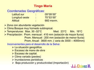 Tingo María
Coordenadas Geográficas:
Latitud sur : 09°09`00”
Longitud oeste : 75°53`00”
Altitud : 660 msnm.
 Zona con abundante vegetación
 Clima Bosque muy húmedo subtropical.
 Temperaturas: Max. 30 -32°C Med. 23°C Min. 19°C
 Precipitación: Prom. mensual : 410 mm (estación de mayor lluvia)
Prom. Mensual : 200 mm (estación de menor lluvia)
Prom. Anual: 3600 mm. ( varia de 3000 – 4000mm)
Inconvenientes para el desarrollo de la Selva:
 La situación geográfica.
 Escasez de mano de obra
 Escasez de capital.
 Clima variado (pestes)
 Inundaciones periódicas
 Baja producción y productividad (Importación)
 