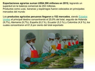 Exportaciones agrarias suman US$4.390 millones en 2012, logrando un
superávit en la balanza comercial de 202 millones.
Productos como uvas, bananas y espárragos fueron colocados en principales
mercados del mundo
Los productos agrícolas peruanos llegaron a 152 mercados, siendo Estados
Unidos el principal destino concentrando el 25,9% del total, seguido de Holanda
(9,7%), Alemania (9,7%), España (6,2 %), Ecuador (5,3 %) y Colombia (4,9 %), los
cuales concentraron el 61,8 por ciento del total exportado
 