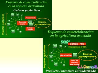 Agrotecnia 1 generalidades 