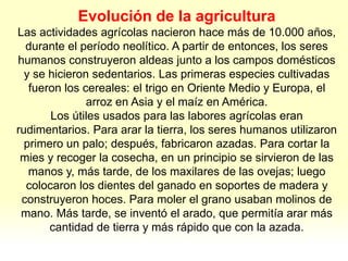Evolución de la agricultura
Las actividades agrícolas nacieron hace más de 10.000 años,
durante el período neolítico. A partir de entonces, los seres
humanos construyeron aldeas junto a los campos domésticos
y se hicieron sedentarios. Las primeras especies cultivadas
fueron los cereales: el trigo en Oriente Medio y Europa, el
arroz en Asia y el maíz en América.
Los útiles usados para las labores agrícolas eran
rudimentarios. Para arar la tierra, los seres humanos utilizaron
primero un palo; después, fabricaron azadas. Para cortar la
mies y recoger la cosecha, en un principio se sirvieron de las
manos y, más tarde, de los maxilares de las ovejas; luego
colocaron los dientes del ganado en soportes de madera y
construyeron hoces. Para moler el grano usaban molinos de
mano. Más tarde, se inventó el arado, que permitía arar más
cantidad de tierra y más rápido que con la azada.
 