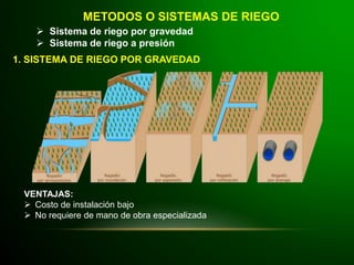 METODOS O SISTEMAS DE RIEGO
 Sistema de riego por gravedad
 Sistema de riego a presión
1. SISTEMA DE RIEGO POR GRAVEDAD
VENTAJAS:
 Costo de instalación bajo
 No requiere de mano de obra especializada
 