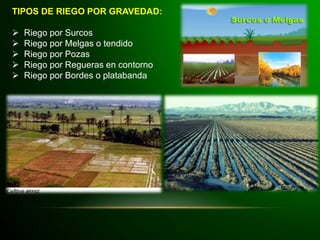 TIPOS DE RIEGO POR GRAVEDAD:
 Riego por Surcos
 Riego por Melgas o tendido
 Riego por Pozas
 Riego por Regueras en contorno
 Riego por Bordes o platabanda
 