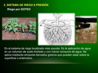 2. SISTEMA DE RIEGO A PRESIÓN
Riego por GOTEO
Es el sistema de riego localizado más popular. Es la aplicación de agua
en un volumen de suelo limitado y con menor consumo de agua. Se
aplica mediante emisores llamados goteros que pueden estar sobre la
superficie o enterrados.
 