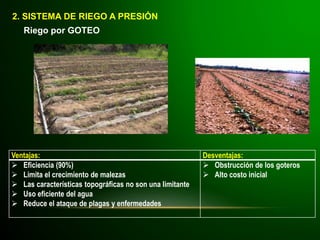 2. SISTEMA DE RIEGO A PRESIÓN
Riego por GOTEO
Ventajas: Desventajas:
 Eficiencia (90%)
 Limita el crecimiento de malezas
 Las características topográficas no son una limitante
 Uso eficiente del agua
 Reduce el ataque de plagas y enfermedades
 Obstrucción de los goteros
 Alto costo inicial
 