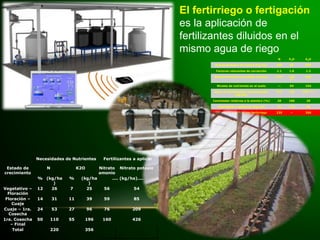 N P2O K2O
Requerimientos de cultivo (kg/ha) 250 80 500
Factores relevantes de corrección 1.1 1.6 1.2
Requerimientos corregidos (kg/ha) 275* 128
**
600
Niveles de nutrientes en el suelo -- 94 154
Dosis de fertilizantes recomendados
(kg/ha)
275 128 446***
Cantidades relativas a la siembra (%) 20 100 20
Cantidades a aplicarse (kg/ha) 55 128 90
Diferencia a aplicar por fertirriego 220 -- 356
El fertirriego o fertigación
es la aplicación de
fertilizantes diluidos en el
mismo agua de riego
Necesidades de Nutrientes Fertilizantes a aplicar
Estado de
crecimiento
N K2O Nitrato
amonio
Nitrato potasio
% (kg/ha
)
% (kg/ha
)
.... (kg/ha)....
Vegetativo –
Floración
12 26 7 25 56 54
Floración –
Cuaje
14 31 11 39 59 85
Cuaje – 1ra.
Cosecha
24 53 27 96 76 209
1ra. Cosecha
– Final
50 110 55 196 160 426
Total 220 356
 