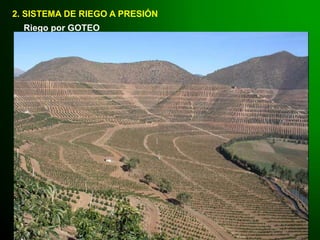 2. SISTEMA DE RIEGO A PRESIÓN
Riego por GOTEO
 