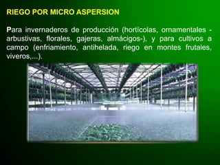 RIEGO POR MICRO ASPERSION
Para invernaderos de producción (hortícolas, ornamentales -
arbustivas, florales, gajeras, almácigos-), y para cultivos a
campo (enfriamiento, antihelada, riego en montes frutales,
viveros,...).
 