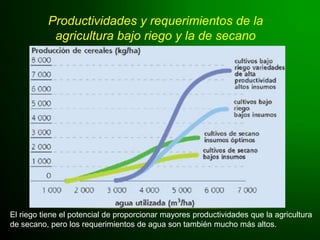 Productividades y requerimientos de la
agricultura bajo riego y la de secano
El riego tiene el potencial de proporcionar mayores productividades que la agricultura
de secano, pero los requerimientos de agua son también mucho más altos.
 