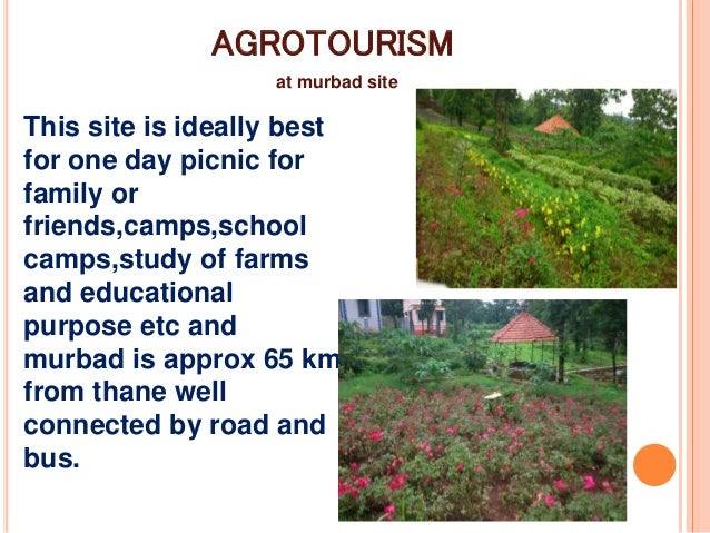 what is agro tourism answer in one sentence