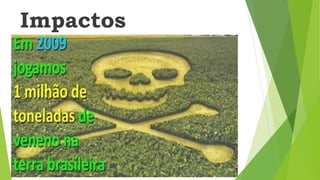 Impactos
ambientais
 
