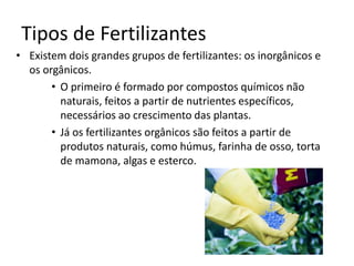 Tipos de Fertilizantes 
• Existem dois grandes grupos de fertilizantes: os inorgânicos e 
os orgânicos. 
• O primeiro é formado por compostos químicos não 
naturais, feitos a partir de nutrientes específicos, 
necessários ao crescimento das plantas. 
• Já os fertilizantes orgânicos são feitos a partir de 
produtos naturais, como húmus, farinha de osso, torta 
de mamona, algas e esterco. 
 