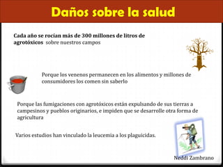 Daños sobre la salud
Cada año se rocían más de 300 millones de litros de
agrotóxicos sobre nuestros campos




           Porque los venenos permanecen en los alimentos y millones de
           consumidores los comen sin saberlo



 Porque las fumigaciones con agrotóxicos están expulsando de sus tierras a
 campesinos y pueblos originarios, e impiden que se desarrolle otra forma de
 agricultura


Varios estudios han vinculado la leucemia a los plaguicidas.



                                                                 Neddi Zambrano
 