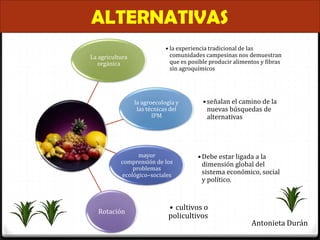 ALTERNATIVAS
                            • la experiencia tradicional de las
La agricultura                comunidades campesinas nos demuestran
   orgánica                   que es posible producir alimentos y fibras
                              sin agroquímicos




                 la agroecología y        • señalan el camino de la
                  las técnicas del          nuevas búsquedas de
                        IPM                 alternativas




                 mayor                  • Debe estar ligada a la
           comprensión de los             dimensión global del
               problemas
           ecológico–sociales             sistema económico, social
                                          y político.



   Rotación
                              • cultivos o
                              policultivos
                                                            Antonieta Durán
 