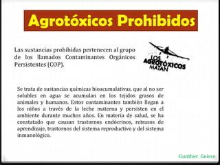 Agrotóxicos Prohibidos
Las sustancias prohibidas pertenecen al grupo
de los llamados Contaminantes Orgánicos
Persistentes (COP).


 Se trata de sustancias químicas bioacumulativas, que al no ser
 solubles en agua se acumulan en los tejidos grasos de
 animales y humanos. Estos contaminantes también llegan a
 los niños a través de la leche materna y persisten en el
 ambiente durante muchos años. En materia de salud, se ha
 constatado que causan trastornos endócrinos, retrasos de
 aprendizaje, trastornos del sistema reproductivo y del sistema
 inmunológico.


                                                                  Gunther Geisse
 