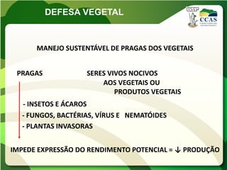 DEFESA VEGETAL



      MANEJO SUSTENTÁVEL DE PRAGAS DOS VEGETAIS


 PRAGAS            SERES VIVOS NOCIVOS
                       AOS VEGETAIS OU
                           PRODUTOS VEGETAIS
  - INSETOS E ÁCAROS
  - FUNGOS, BACTÉRIAS, VÍRUS E NEMATÓIDES
  - PLANTAS INVASORAS


IMPEDE EXPRESSÃO DO RENDIMENTO POTENCIAL = ↓ PRODUÇÃO
 