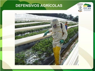DEFENSIVOS AGRÍCOLAS
 