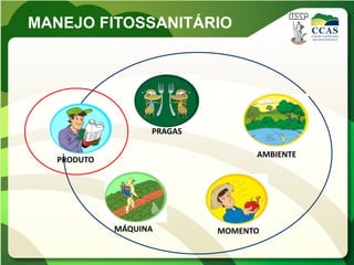 MANEJO FITOSSANITÁRIO




                   PRAGAS

                                  AMBIENTE
   PRODUTO




             MÁQUINA        MOMENTO
 