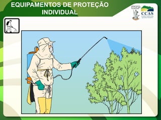 EQUIPAMENTOS DE PROTEÇÃO
        INDIVIDUAL
 