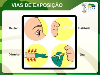 VIAS DE EXPOSIÇÃO



Ocular               Inalatória




Dérmica               Oral
 