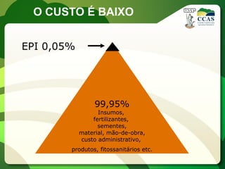 O CUSTO É BAIXO


EPI 0,05%




                 99,95%
                  Insumos,
                fertilizantes,
                  sementes,
            material, mão-de-obra,
            custo administrativo,
        produtos, fitossanitários etc.
 