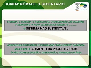 HOMEM: NÔMADE  SEDENTÁRIO



 FLORESTA  CLAREIRA  AGRICULTURA  EXPLORAÇÃO ATÉ EXAUSTÃO
        ABANDONO  NOVA CLAREIRA NA FLORESTA  ...........
              SISTEMA    NÃO SUSTENTÁVEL



 AGRICULTURA SUSTENTÁVEL EXPLORAÇÃO “PARA SEMPRE” DA MESMA
      ÁREA BPA  AUMENTO DA PRODUTIVIDADE
    NÃO OCORRE EXAUSTÃO / DEGRADAÇÃO / ABANDONO DA ÁREA
 