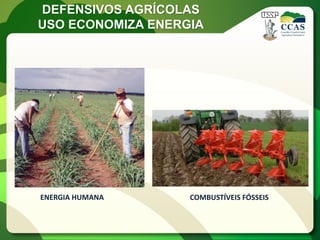 DEFENSIVOS AGRÍCOLAS
USO ECONOMIZA ENERGIA




ENERGIA HUMANA     COMBUSTÍVEIS FÓSSEIS
 