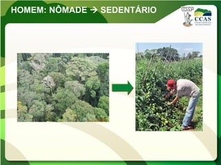 HOMEM: NÔMADE  SEDENTÁRIO
 