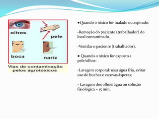 ●Quando o tóxico for inalado ou aspirado:
-Remoção do paciente (trabalhador) do
local contaminado.
-Ventilar o paciente (trabalhador).
● Quando o tóxico for exposto a
pele/olhos:
-Lavagem corporal: usar água fria, evitar
uso de buchas e escovas ásperas;
- Lavagem dos olhos: água ou solução
fisiológica – 15 min.
 