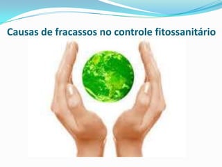 Causas de fracassos no controle fitossanitário
 